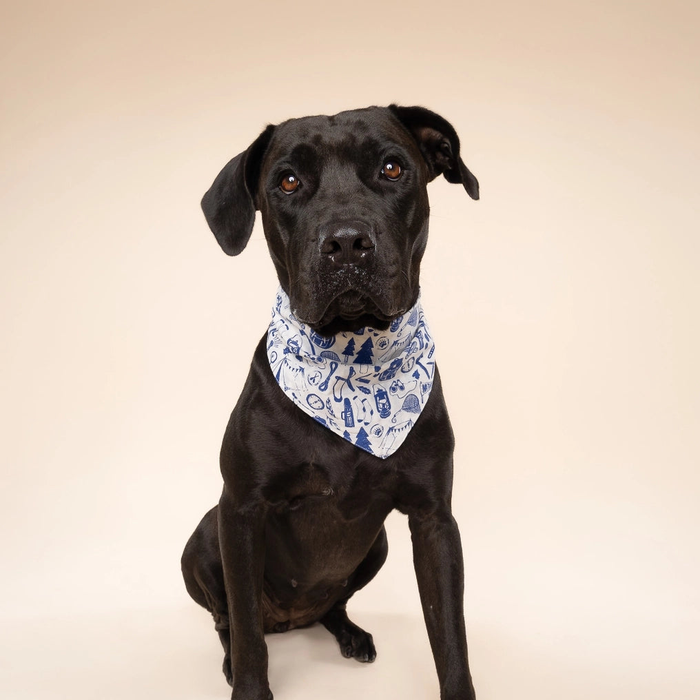 Wander Dog Bandana