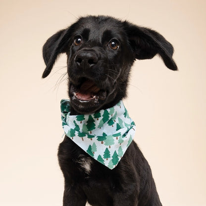 Woods Dog Bandana