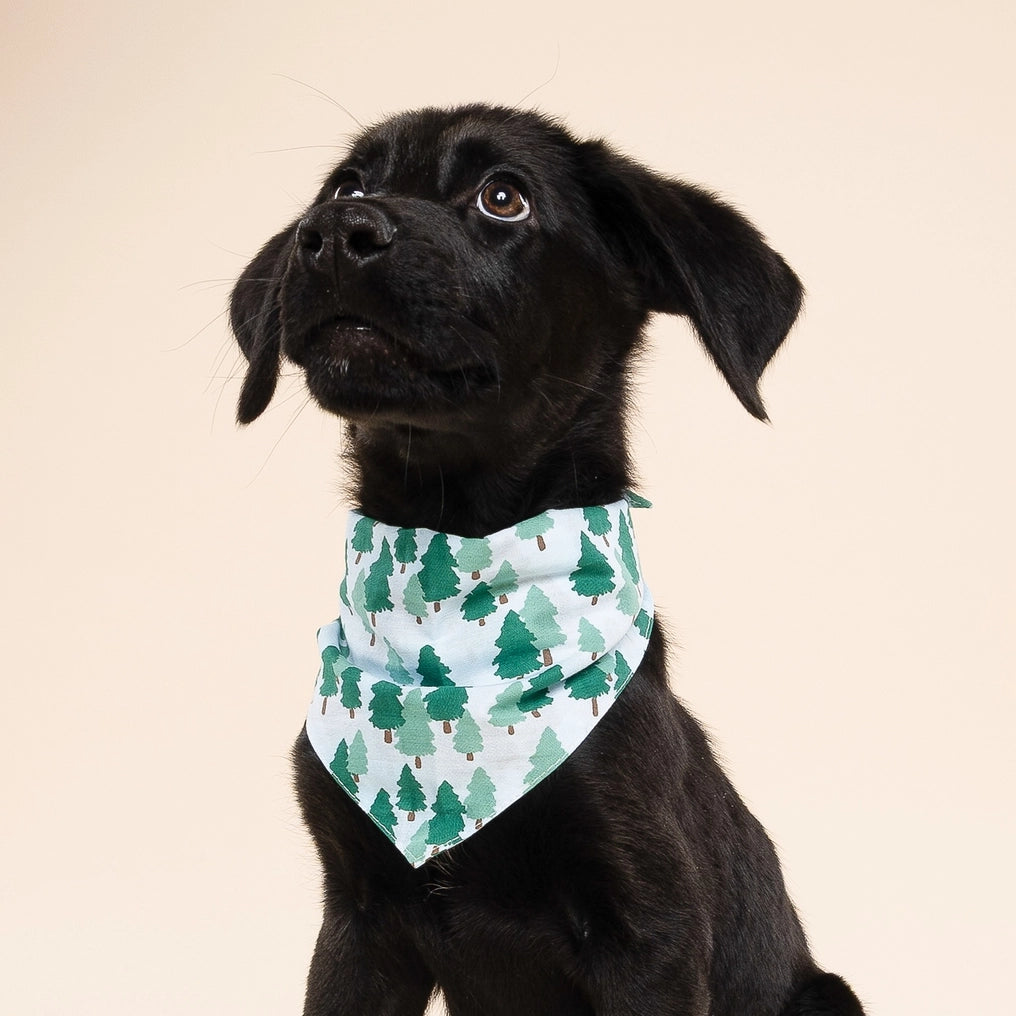 Woods Dog Bandana