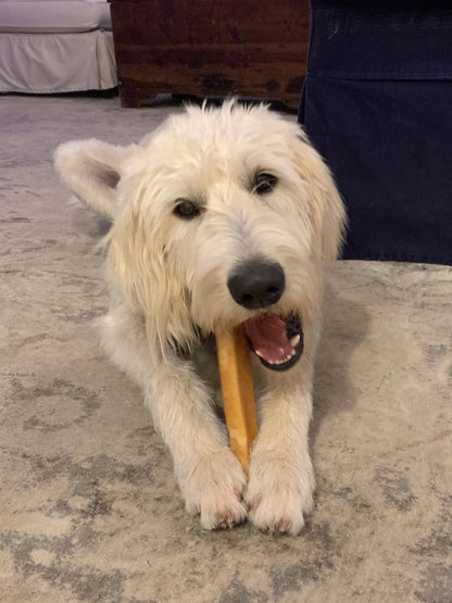 Yak Cheese Chews - Medium size