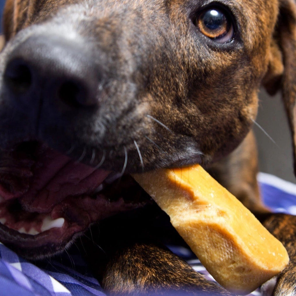 Yak Dog Chews