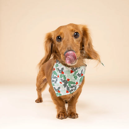 Yule Christmas Dog Bandana
