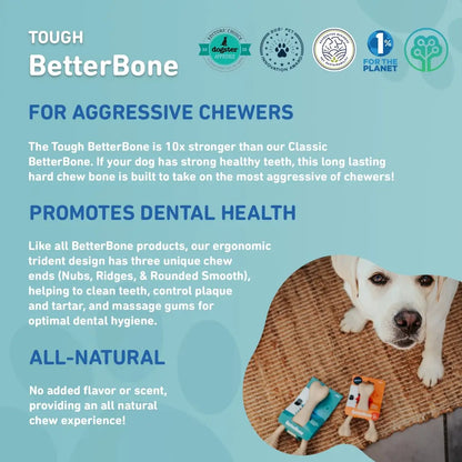 BetterBone Tough, Beef Flavored — Durable All-Natural Sustainable Chew Toy