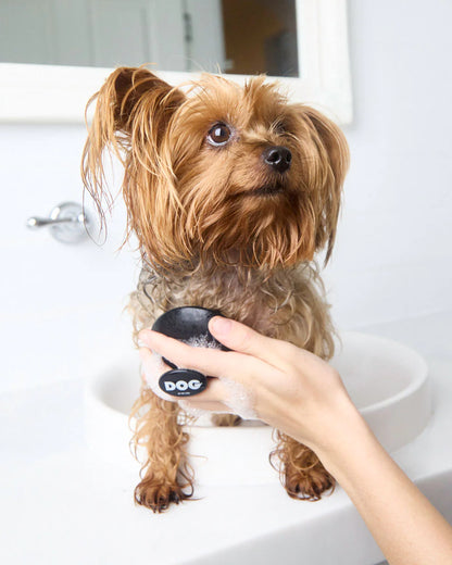 DOG Wash Massage Brush