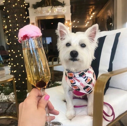 Champagne Dog Bandana (Over-the-Collar)