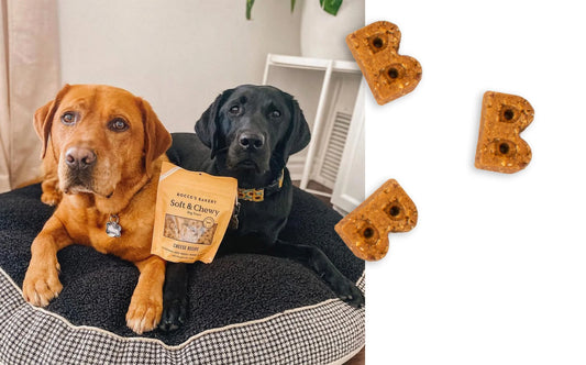 Bocce's Bakery Basics Soft & Chewy Treats - Cheese