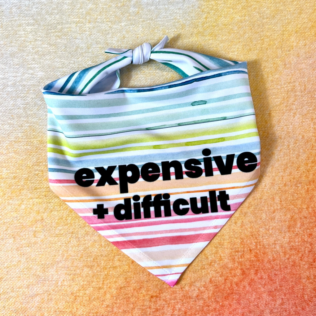 Expensive & Difficult Bandana