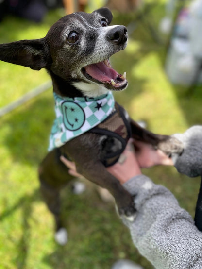 Choose Happy Wrinkle Resistant Bandana