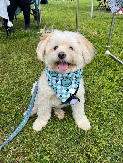 Choose Happy Wrinkle Resistant Bandana