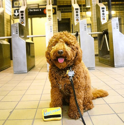 FABDOG® MTA NYC Metrocard