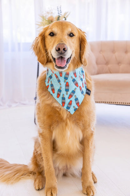 4th of July Dog Bandana - America Dog Bandana - Popsicles