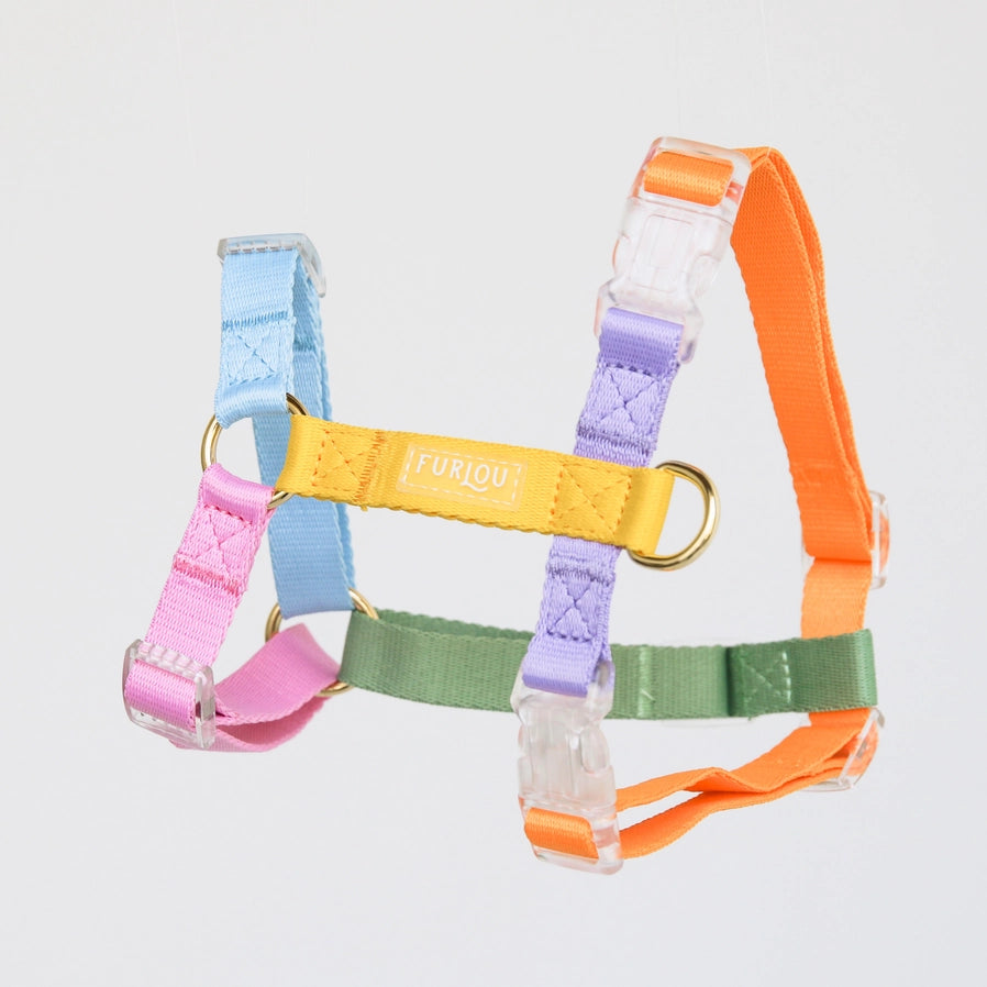 Rainbow Dog Harness