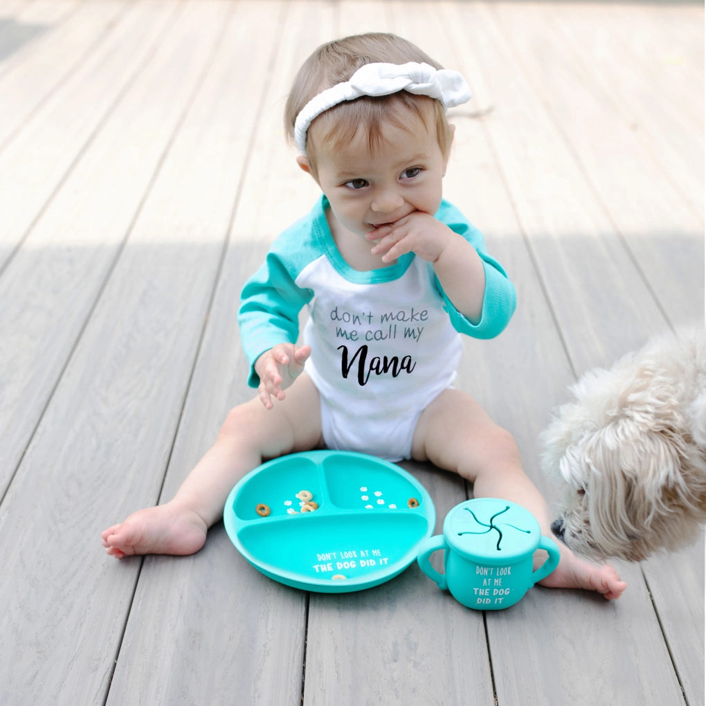 The Dog Snack Bowl with Lid