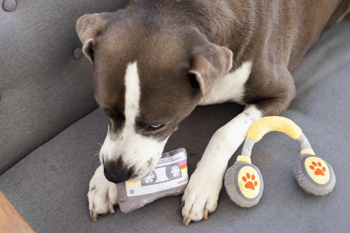 Sub-Woofer Dog Toys