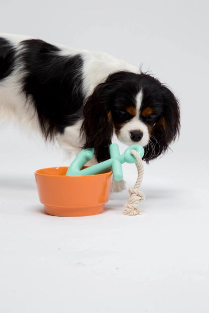 Anchors Aweigh Rubber Dog Toy